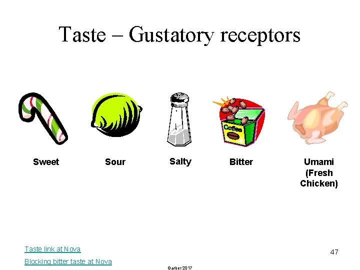Taste – Gustatory receptors Sweet Sour Salty Taste link at Nova Blocking bitter taste
