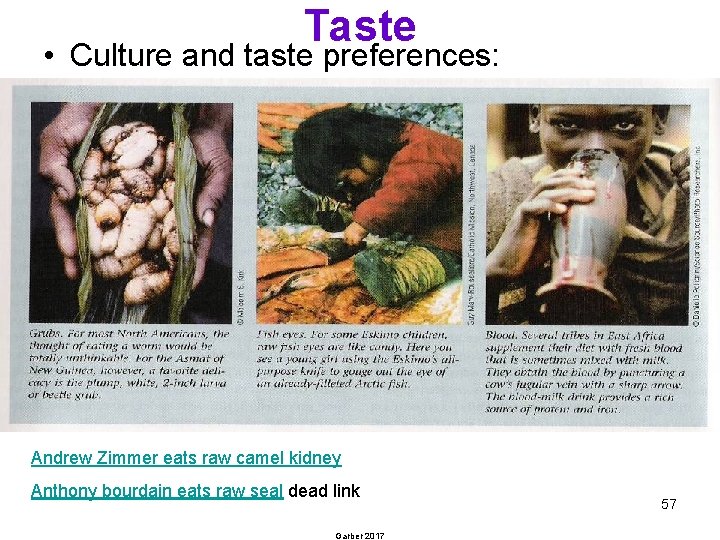 Taste • Culture and taste preferences: Andrew Zimmer eats raw camel kidney Anthony bourdain
