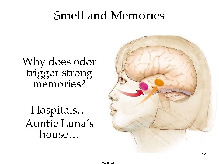 Smell and Memories Why does odor trigger strong memories? Hospitals… Auntie Luna’s house… 76