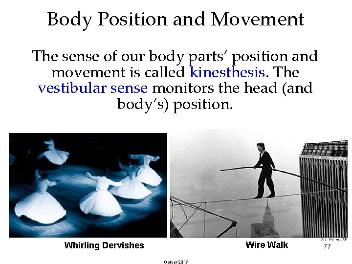 Body Position and Movement The sense of our body parts’ position and movement is