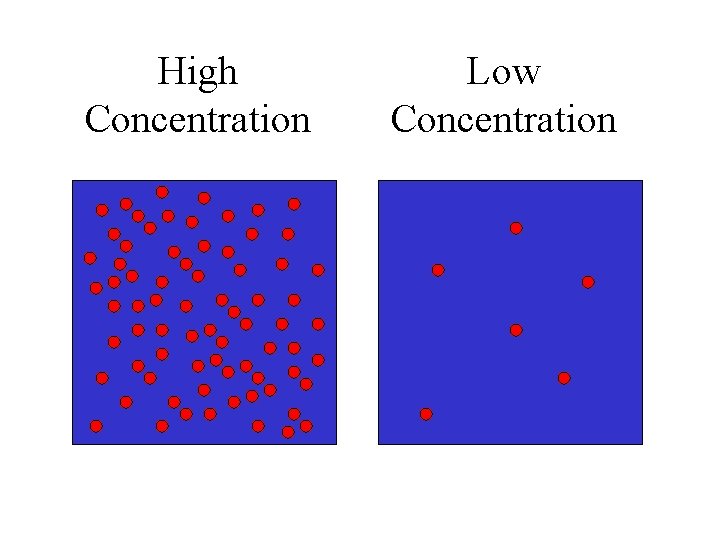 High Concentration Low Concentration 