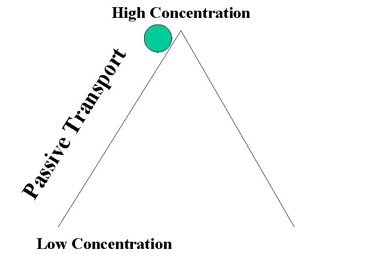 Pa ss ive Tr an sp ort High Concentration Low Concentration 