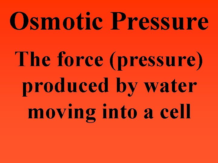 Osmotic Pressure The force (pressure) produced by water moving into a cell 