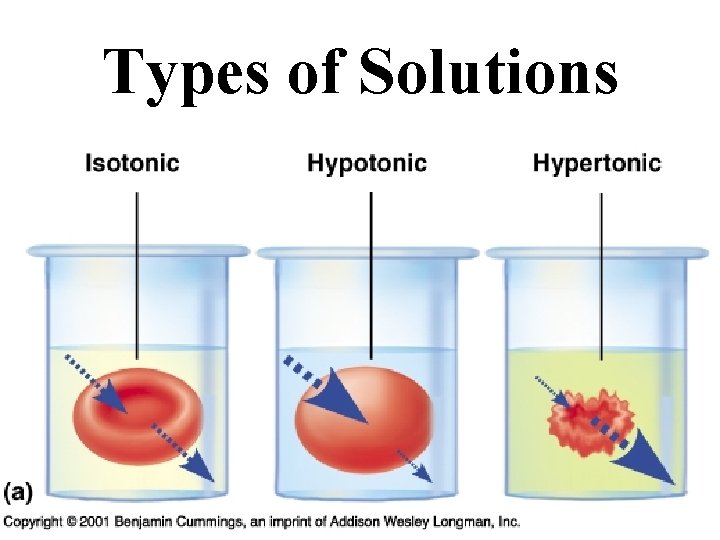 Types of Solutions 