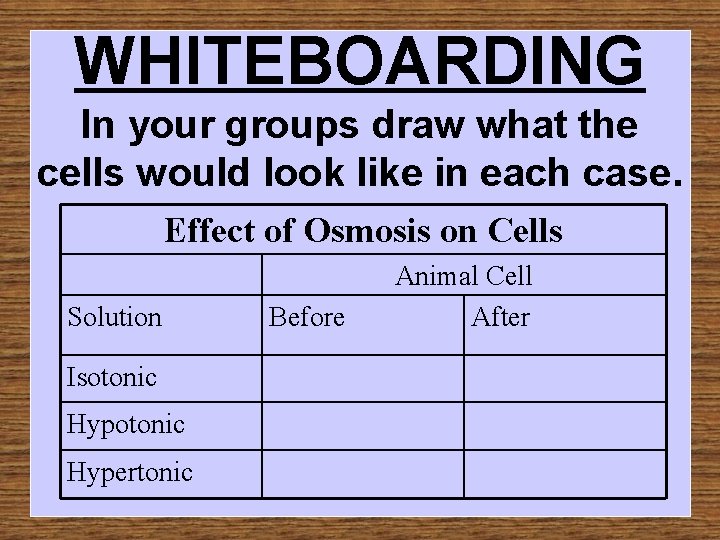 WHITEBOARDING In your groups draw what the cells would look like in each case.