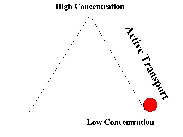 High Concentration t por s ran e. T tiv Ac Low Concentration 