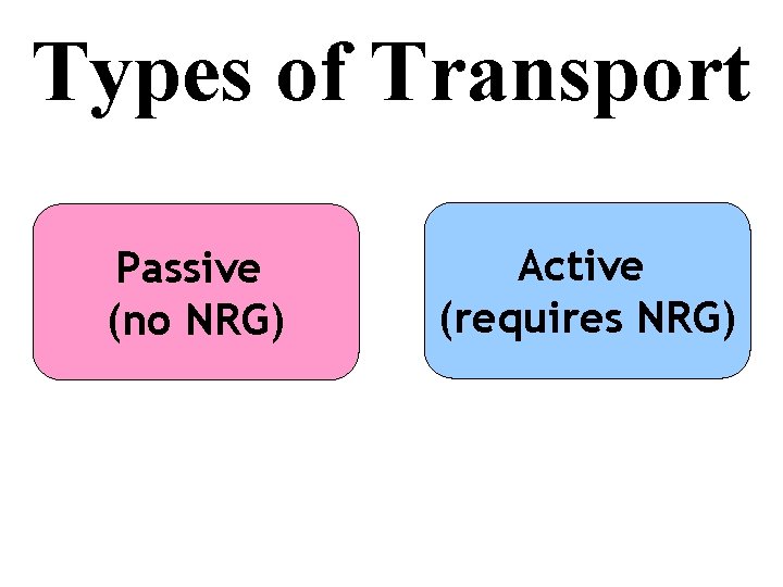 Types of Transport Passive (no NRG) Active (requires NRG) 