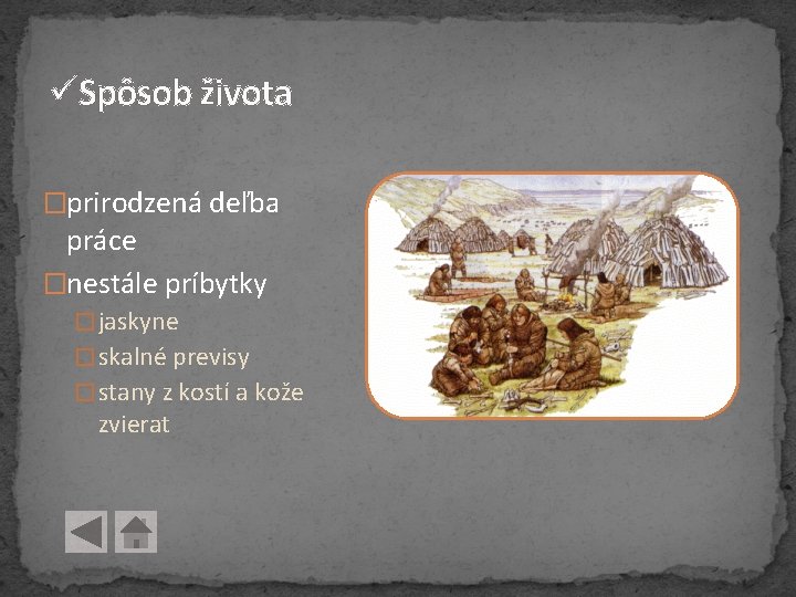 üSpôsob života �prirodzená deľba práce �nestále príbytky � jaskyne � skalné previsy � stany üSpôsob života �prirodzená deľba práce �nestále príbytky � jaskyne � skalné previsy � stany
