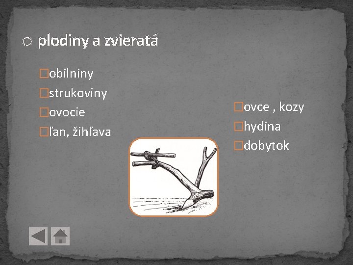 o plodiny a zvieratá �obilniny �strukoviny �ovocie �ľan, žihľava �ovce , kozy �hydina �dobytok o plodiny a zvieratá �obilniny �strukoviny �ovocie �ľan, žihľava �ovce , kozy �hydina �dobytok