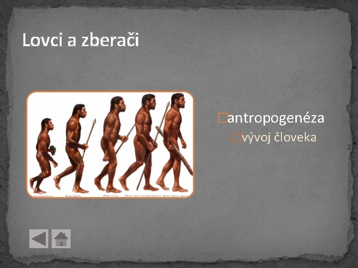Lovci a zberači �antropogenéza �vývoj človeka Lovci a zberači �antropogenéza �vývoj človeka
