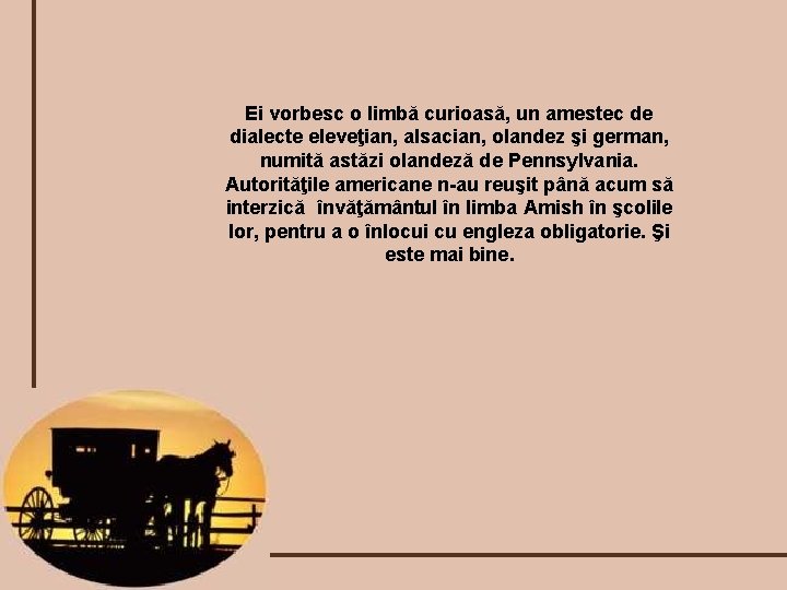 Ei vorbesc o limbă curioasă, un amestec de dialecte eleveţian, alsacian, olandez şi german,