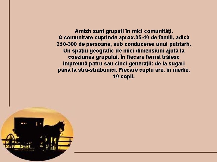 Amish sunt grupaţi în mici comunităţi. O comunitate cuprinde aprox. 35 -40 de famili,