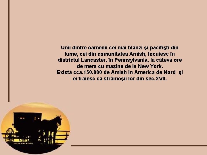 Unii dintre oamenii cei mai blânzi şi pacifişti din lume, cei din comunitatea Amish,