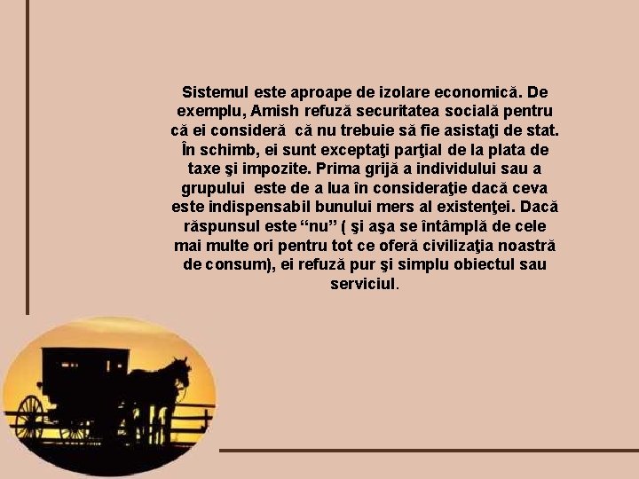 Sistemul este aproape de izolare economică. De exemplu, Amish refuză securitatea socială pentru că