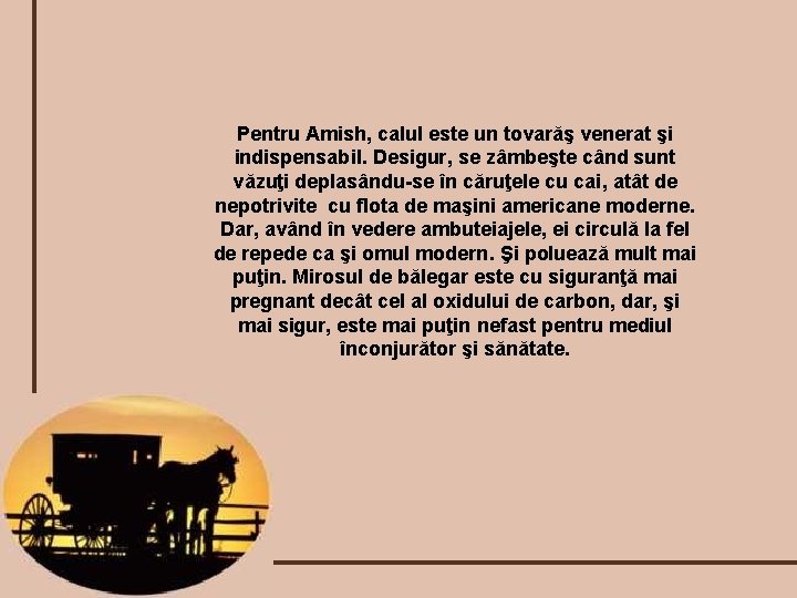 Pentru Amish, calul este un tovarăş venerat şi indispensabil. Desigur, se zâmbeşte când sunt