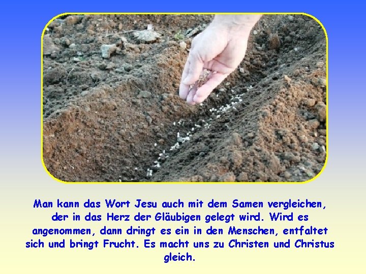 Man kann das Wort Jesu auch mit dem Samen vergleichen, der in das Herz