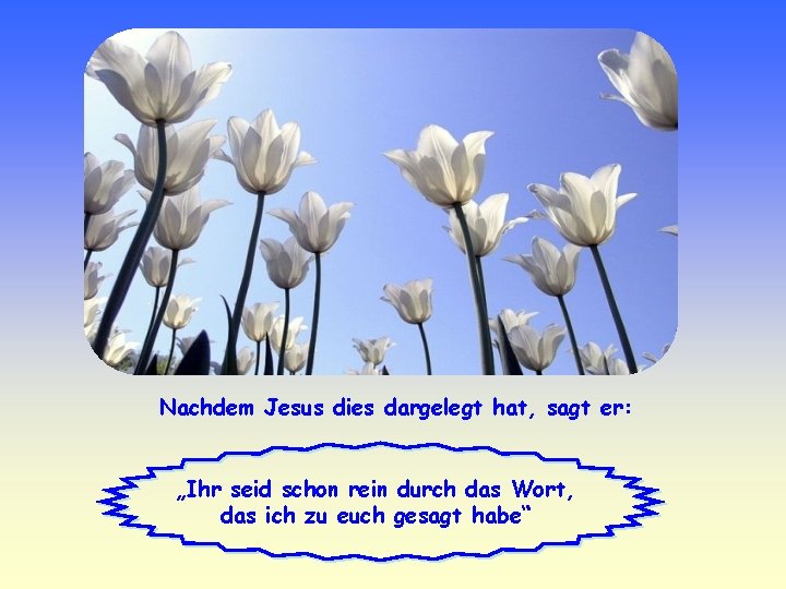 Nachdem Jesus dies dargelegt hat, sagt er: „Ihr seid schon rein durch das Wort,