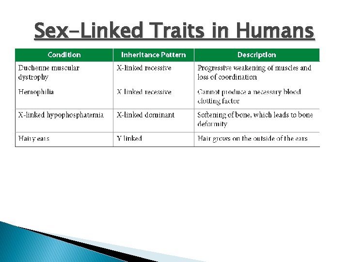 Sex-Linked Traits in Humans 