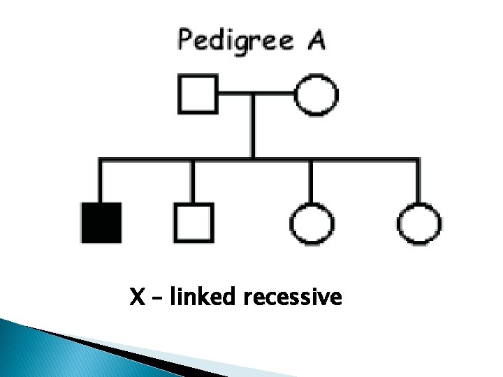 X – linked recessive 
