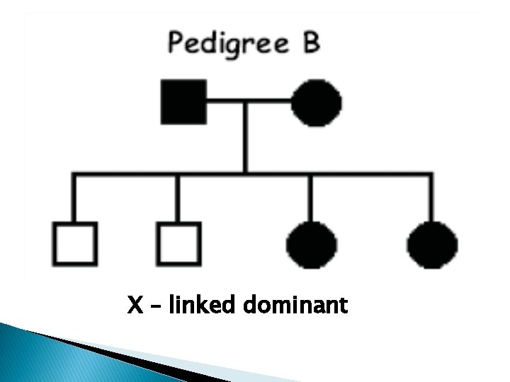 X – linked dominant 