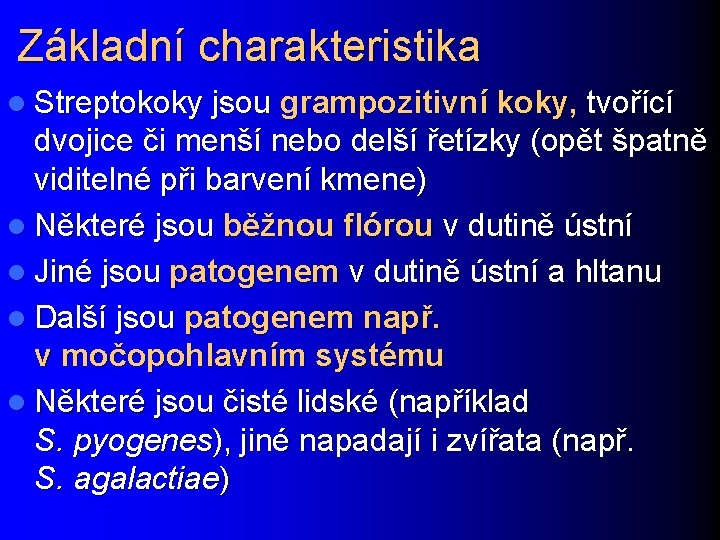 Základní charakteristika l Streptokoky jsou grampozitivní koky, tvořící dvojice či menší nebo delší řetízky