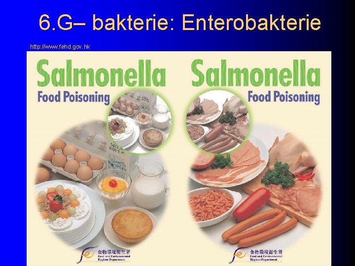 6. G– bakterie: Enterobakterie http: //www. fehd. gov. hk 