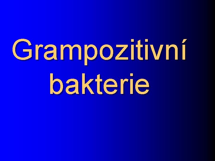 Grampozitivní bakterie 