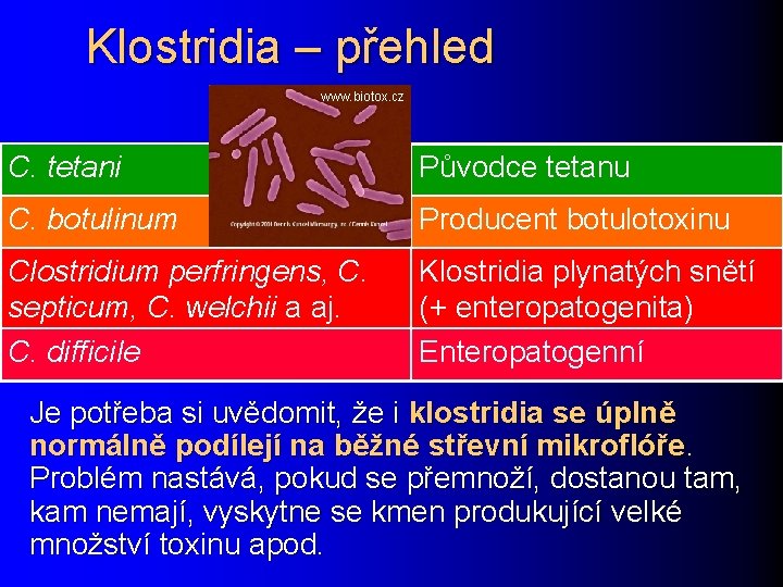 Klostridia – přehled www. biotox. cz C. tetani Původce tetanu C. botulinum Producent botulotoxinu