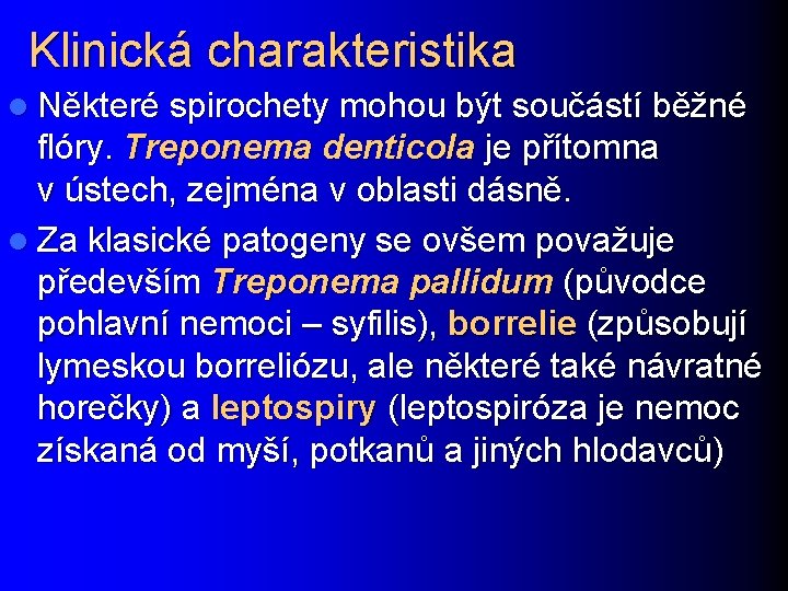 Klinická charakteristika l Některé spirochety mohou být součástí běžné flóry. Treponema denticola je přítomna