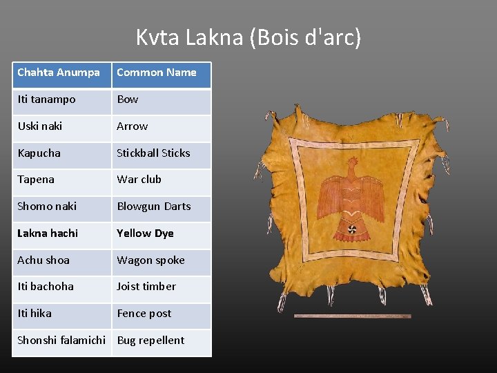Kvta Lakna (Bois d'arc) Chahta Anumpa Common Name Iti tanampo Bow Uski naki Arrow