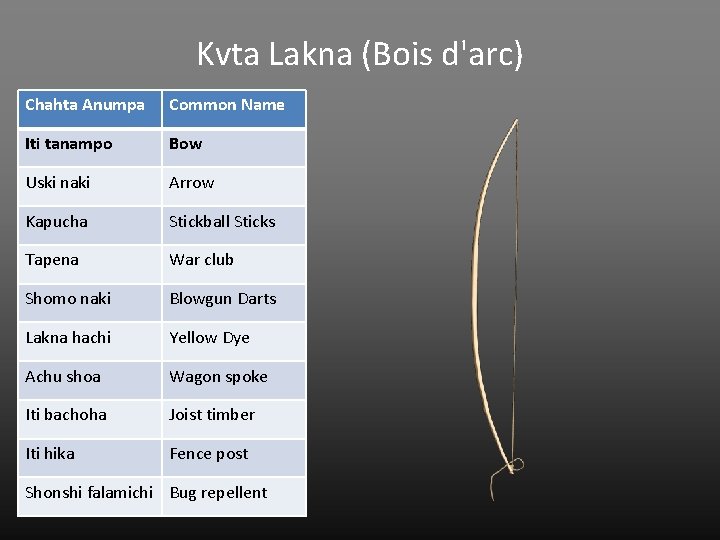 Kvta Lakna (Bois d'arc) Chahta Anumpa Common Name Iti tanampo Bow Uski naki Arrow
