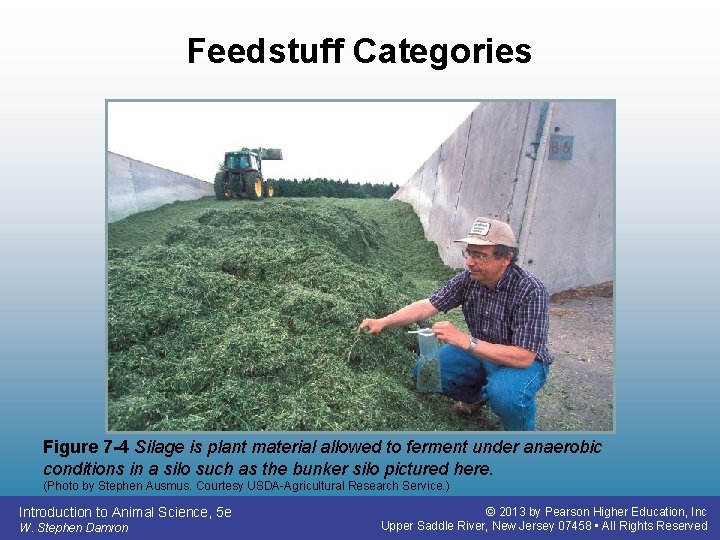 Feedstuff Categories Figure 7 -4 Silage is plant material allowed to ferment under anaerobic Feedstuff Categories Figure 7 -4 Silage is plant material allowed to ferment under anaerobic