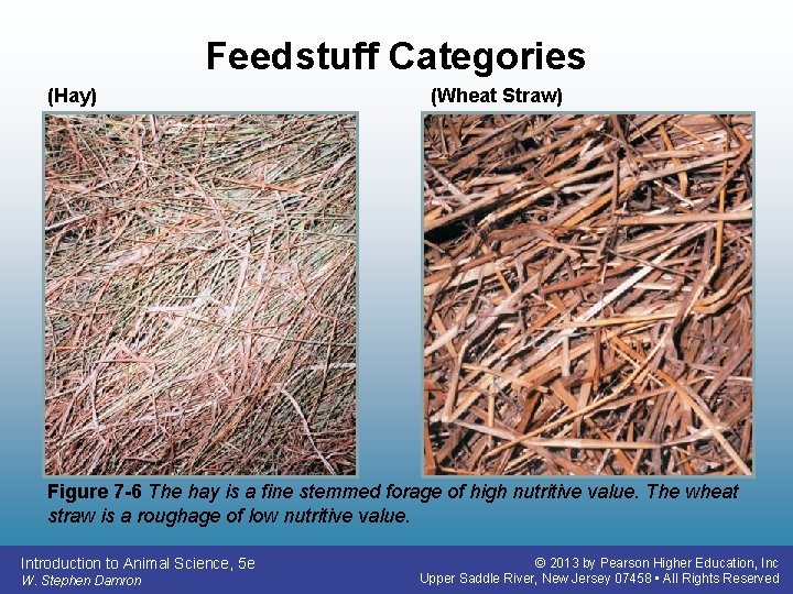 Feedstuff Categories (Hay) (Wheat Straw) Figure 7 -6 The hay is a fine stemmed Feedstuff Categories (Hay) (Wheat Straw) Figure 7 -6 The hay is a fine stemmed