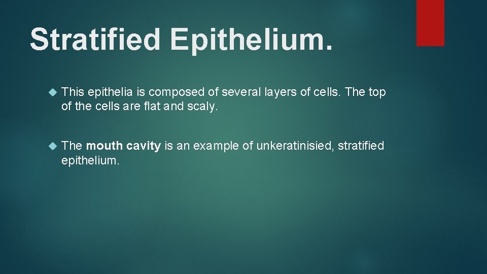 Stratified Epithelium. This epithelia is composed of several layers of cells. The top of