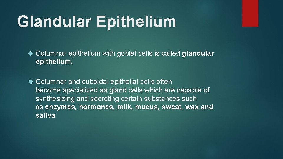 Glandular Epithelium Columnar epithelium with goblet cells is called glandular epithelium. Columnar and cuboidal