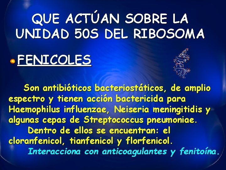 QUE ACTÚAN SOBRE LA UNIDAD 50 S DEL RIBOSOMA FENICOLES Son antibióticos bacteriostáticos, de