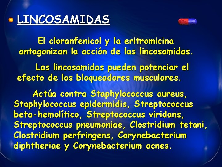 LINCOSAMIDAS El cloranfenicol y la eritromicina antagonizan la acción de las lincosamidas. Las lincosamidas