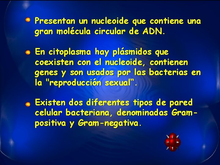 Presentan un nucleoide que contiene una gran molécula circular de ADN. En citoplasma hay