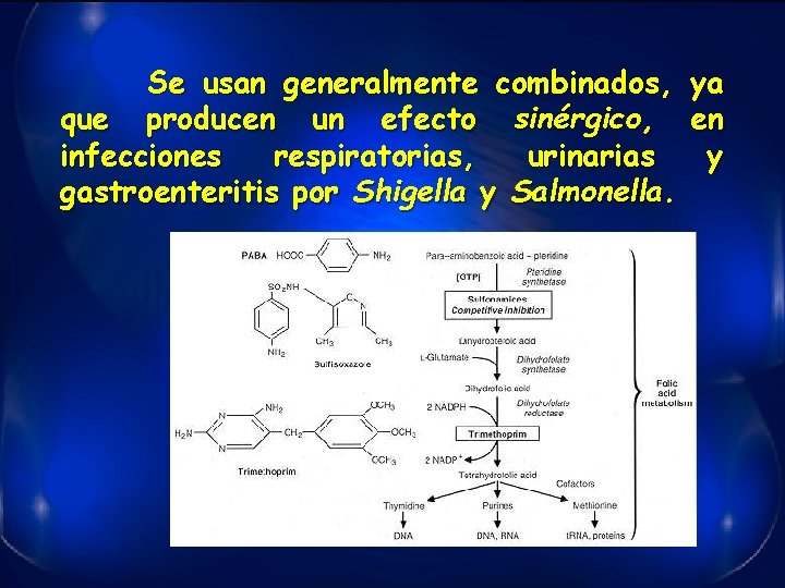 Se usan generalmente combinados, ya que producen un efecto sinérgico, en infecciones respiratorias, urinarias