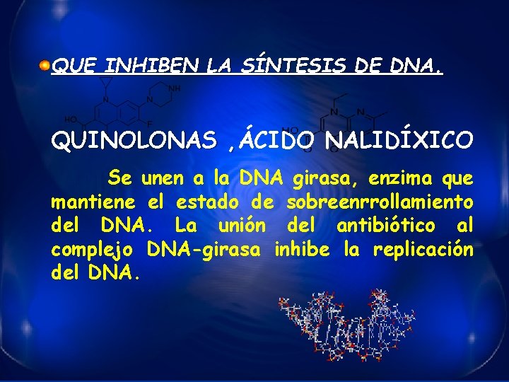 QUE INHIBEN LA SÍNTESIS DE DNA. QUINOLONAS , ÁCIDO NALIDÍXICO , Se unen a