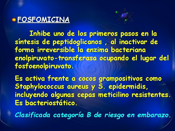 FOSFOMICINA Inhibe uno de los primeros pasos en la síntesis de peptidoglicanos , al