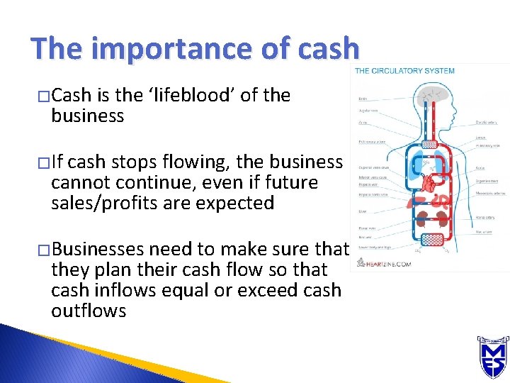 The importance of cash �Cash is the ‘lifeblood’ of the business �If cash stops