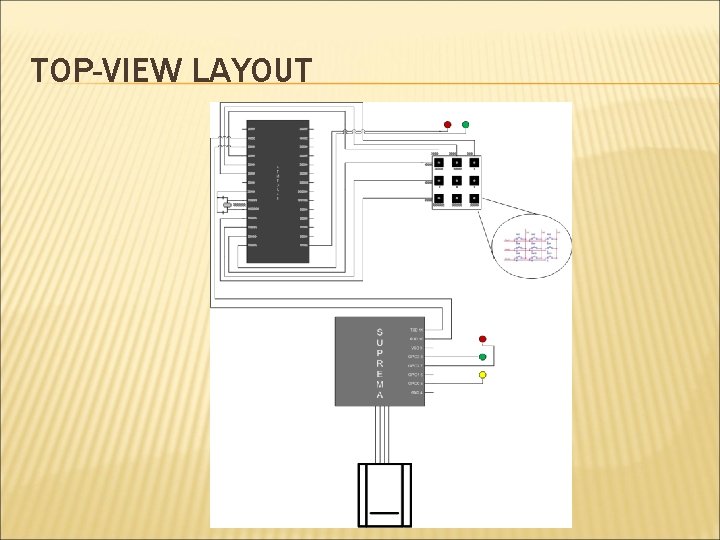 TOP-VIEW LAYOUT 