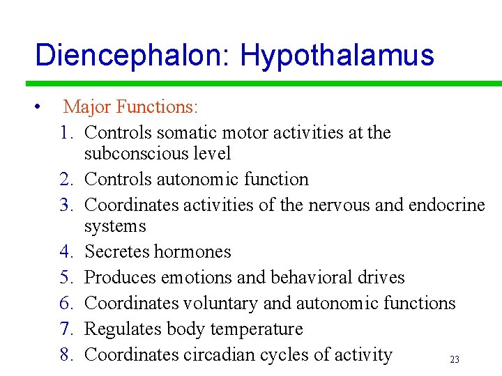 Diencephalon: Hypothalamus • Major Functions: 1. Controls somatic motor activities at the subconscious level
