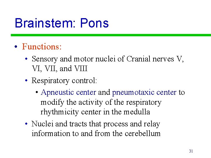 Brainstem: Pons • Functions: • Sensory and motor nuclei of Cranial nerves V, VII,