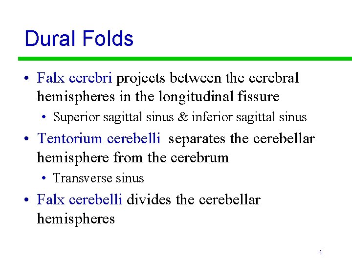 Dural Folds • Falx cerebri projects between the cerebral hemispheres in the longitudinal fissure
