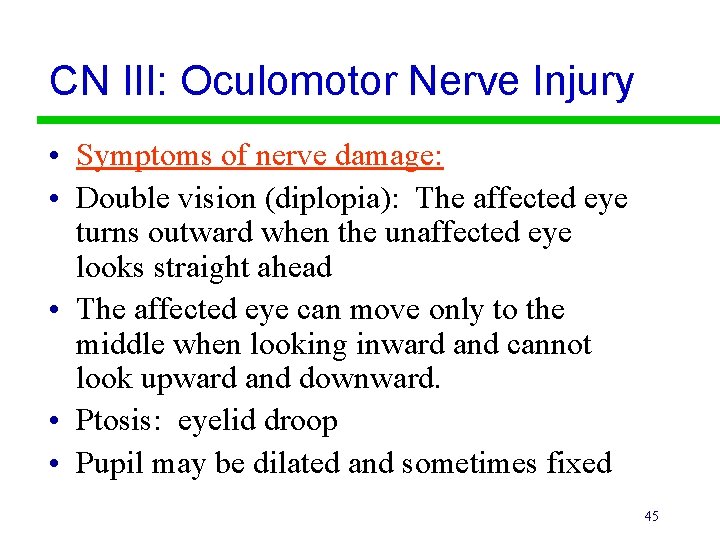 CN III: Oculomotor Nerve Injury • Symptoms of nerve damage: • Double vision (diplopia):
