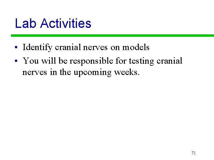 Lab Activities • Identify cranial nerves on models • You will be responsible for