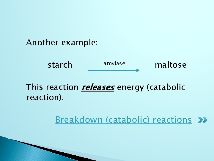 Another example: starch amylase maltose This reaction releases energy (catabolic reaction). Breakdown (catabolic) reactions