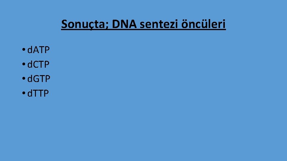 Sonuçta; DNA sentezi öncüleri • d. ATP • d. CTP • d. GTP •